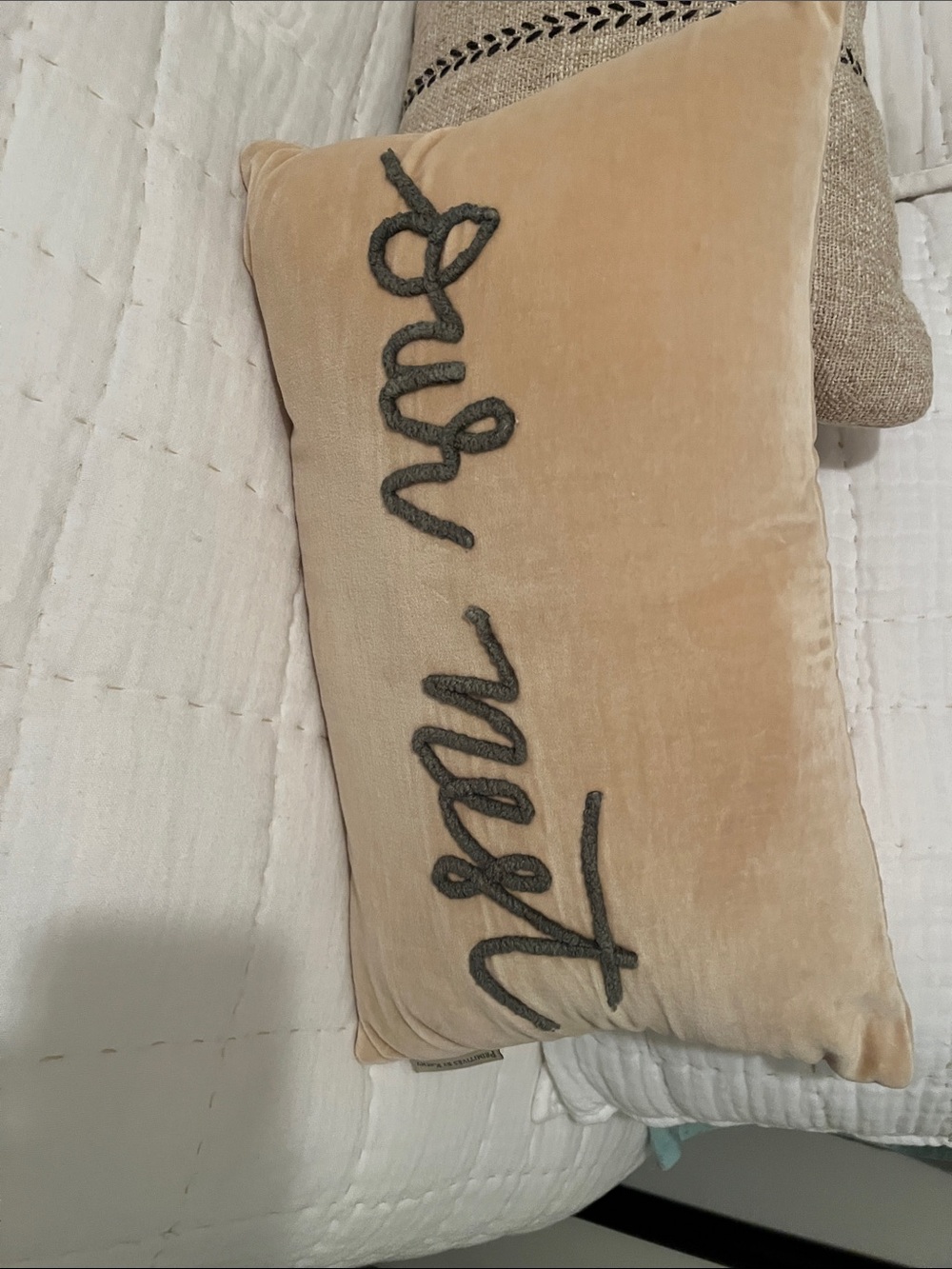 Primitives by Kathy Velvet Accent Pillow in Blush Beige with “our nest”